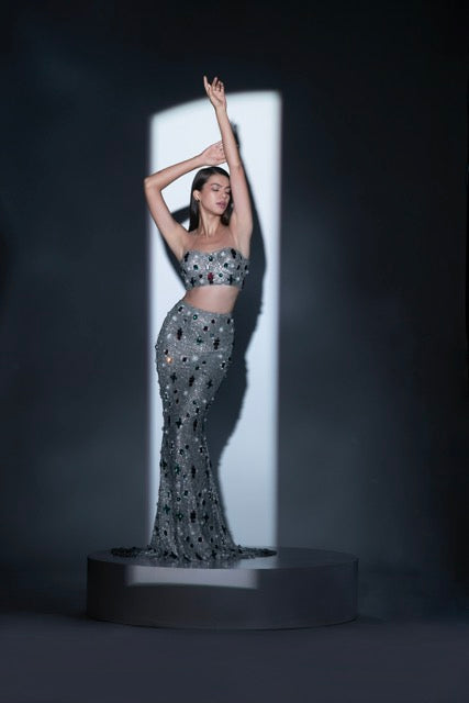 Silver Embellished Bustier and Skirt