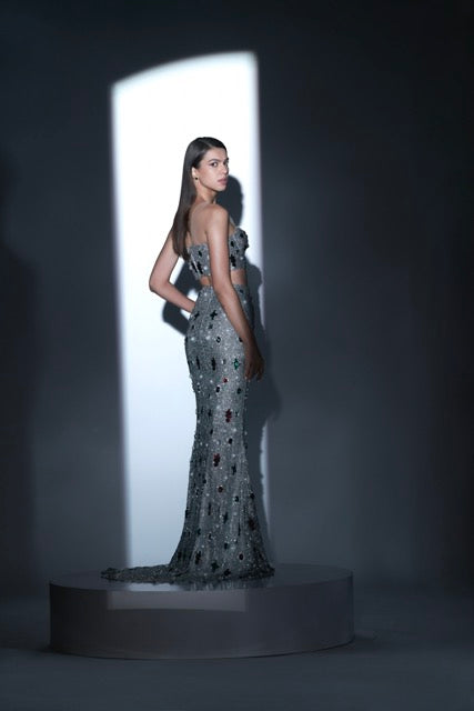 Silver Embellished Bustier and Skirt