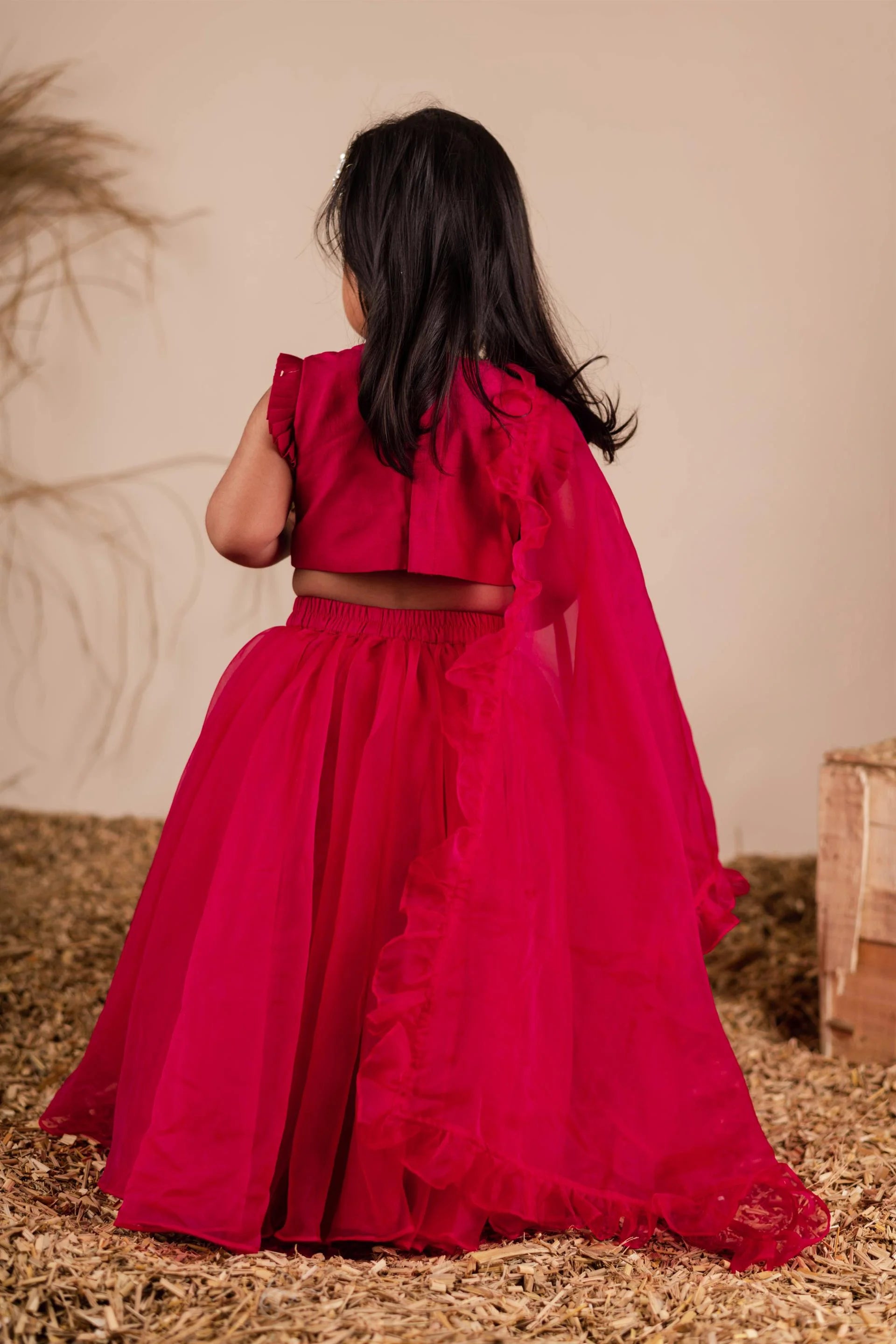 Floral embroidered red ghaghra