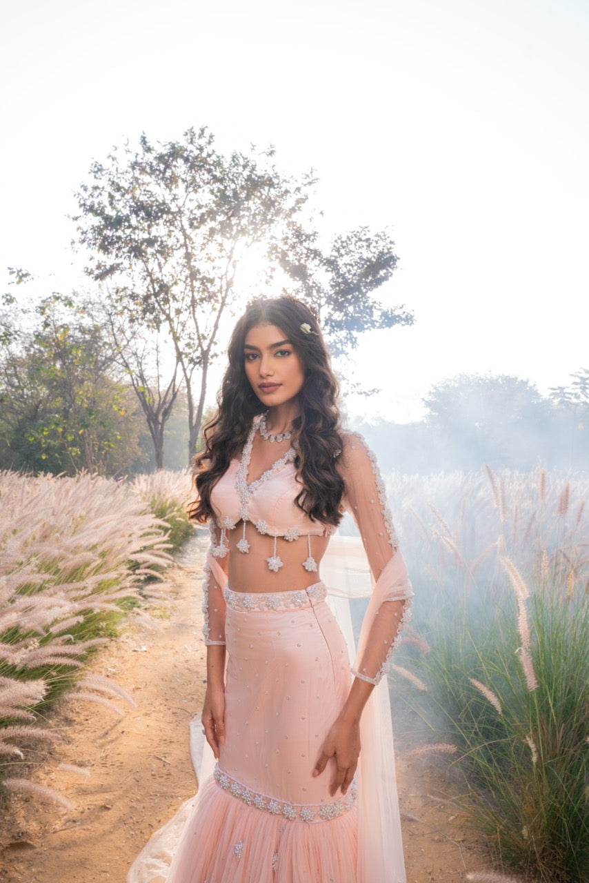 Celestial Bloom Lehenga