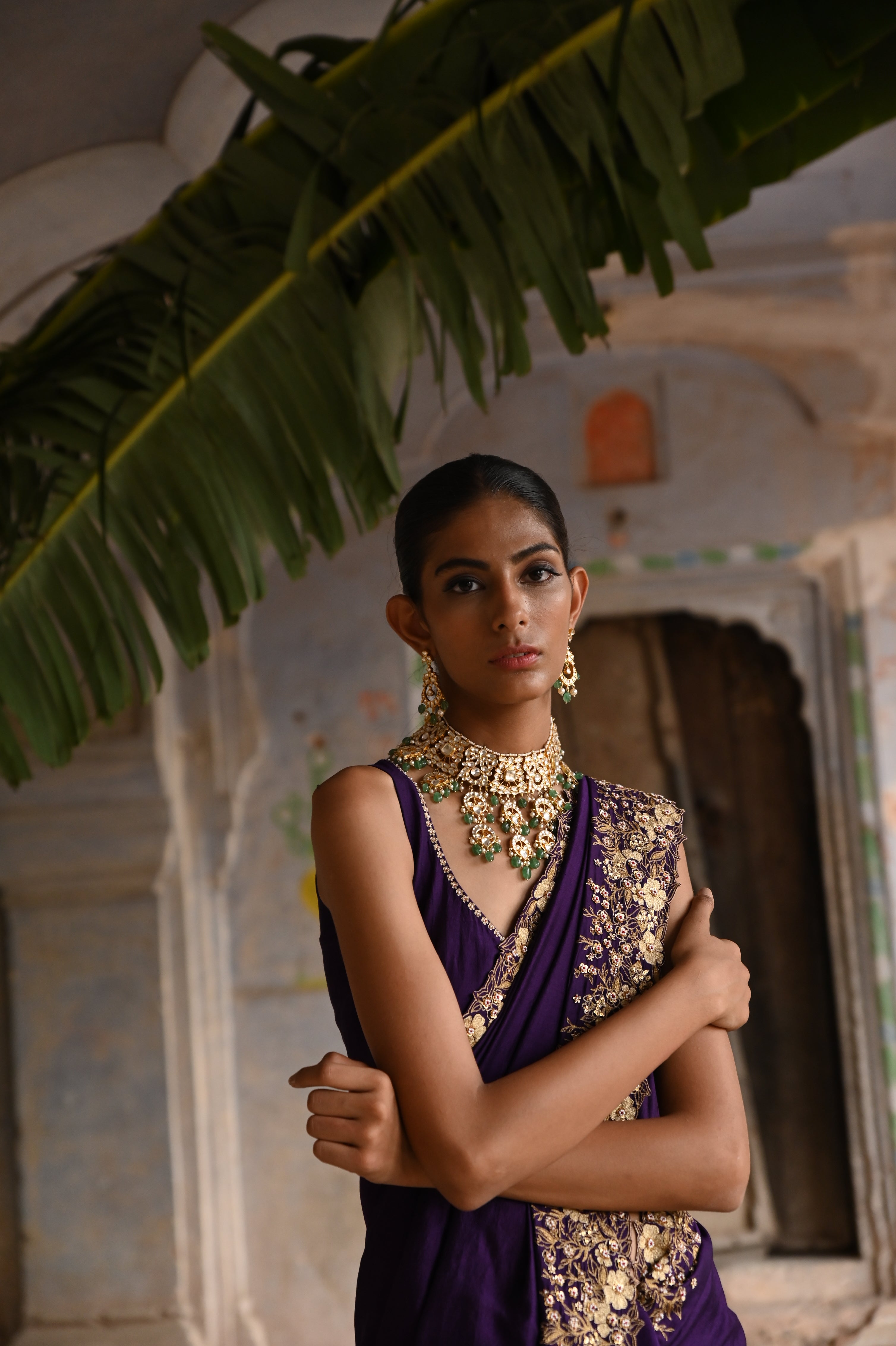 Aubergine saree with blouse