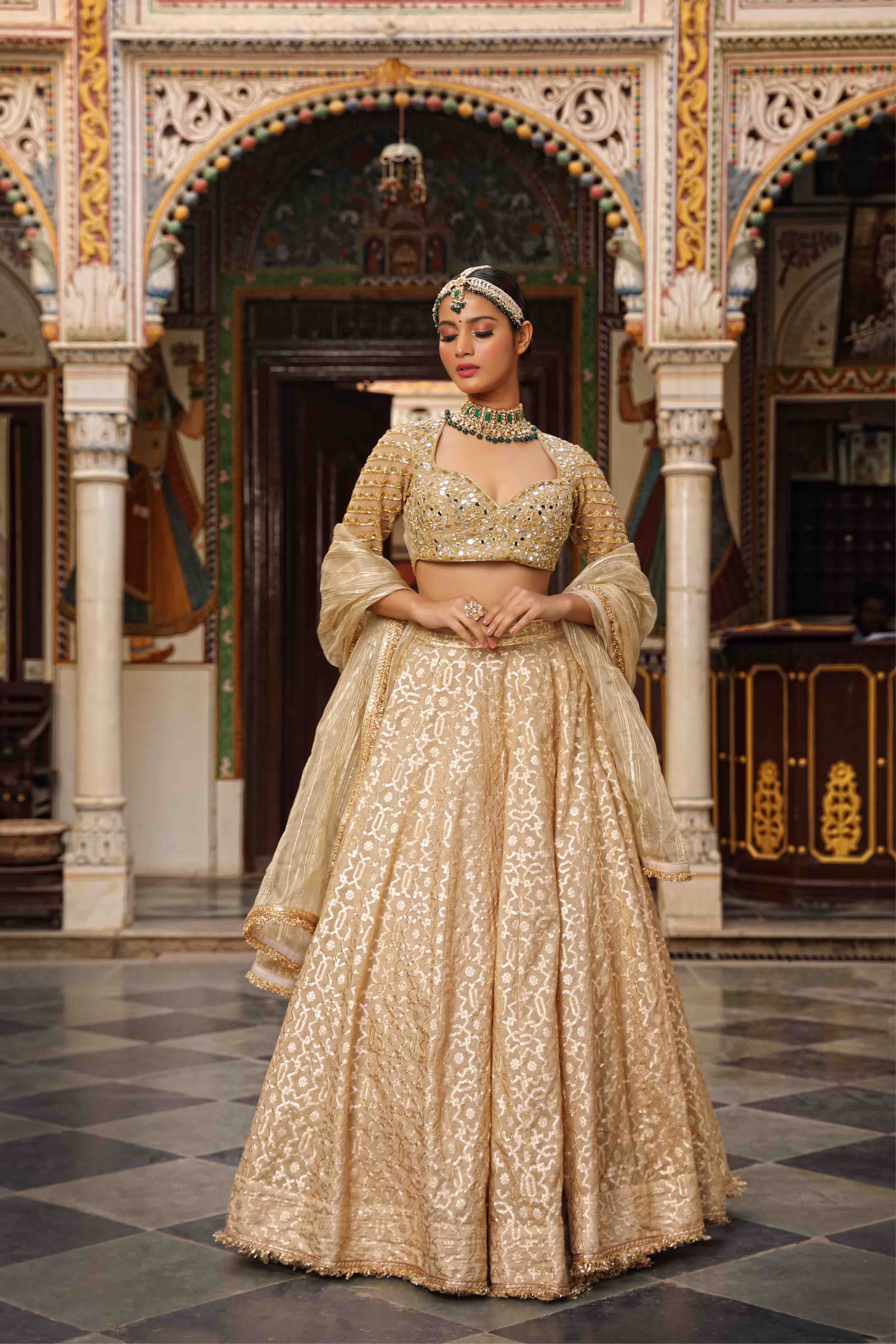 Beige Net Woven Geometric Pattern Lehenga Set