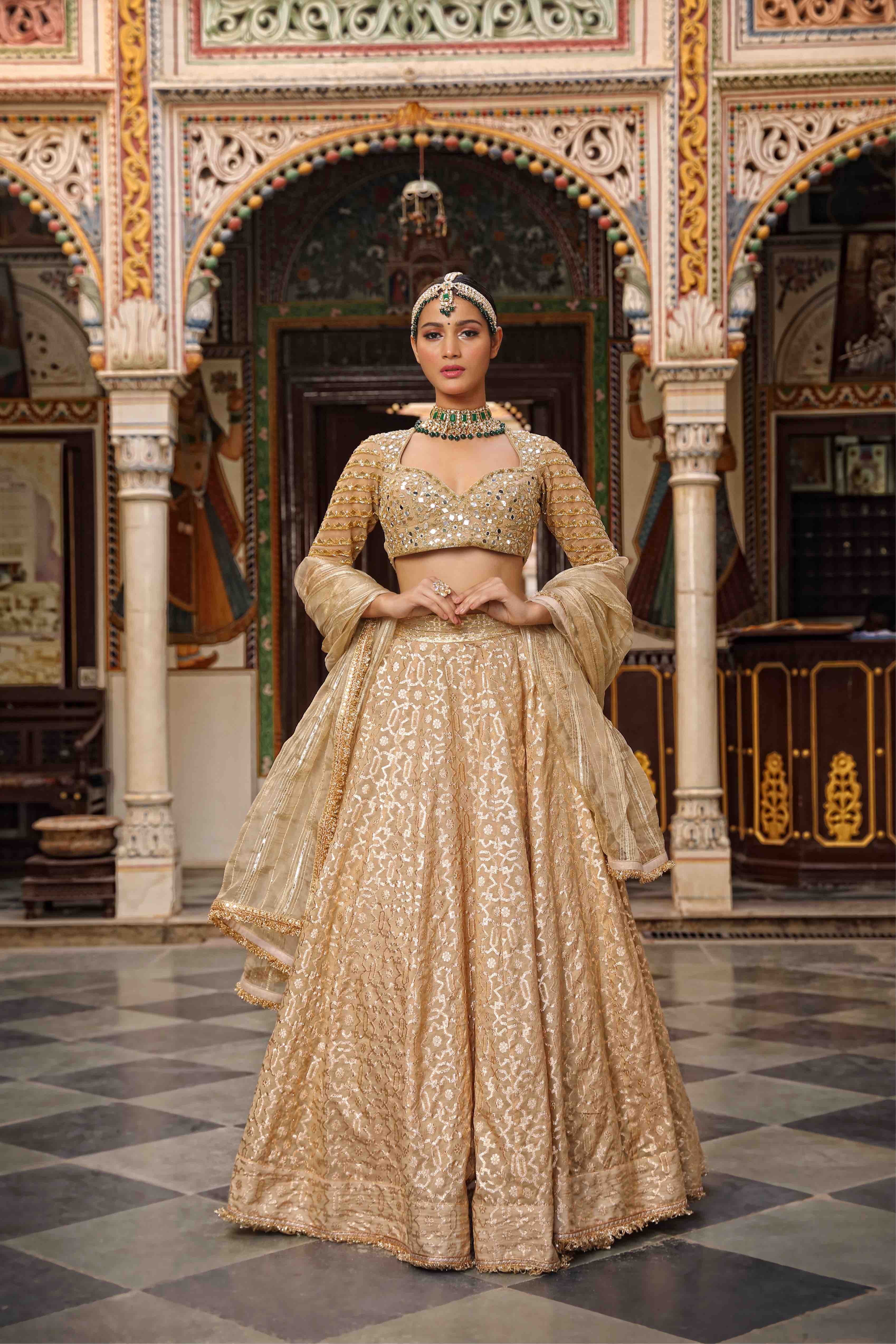 Beige Net Woven Geometric Pattern Lehenga Set