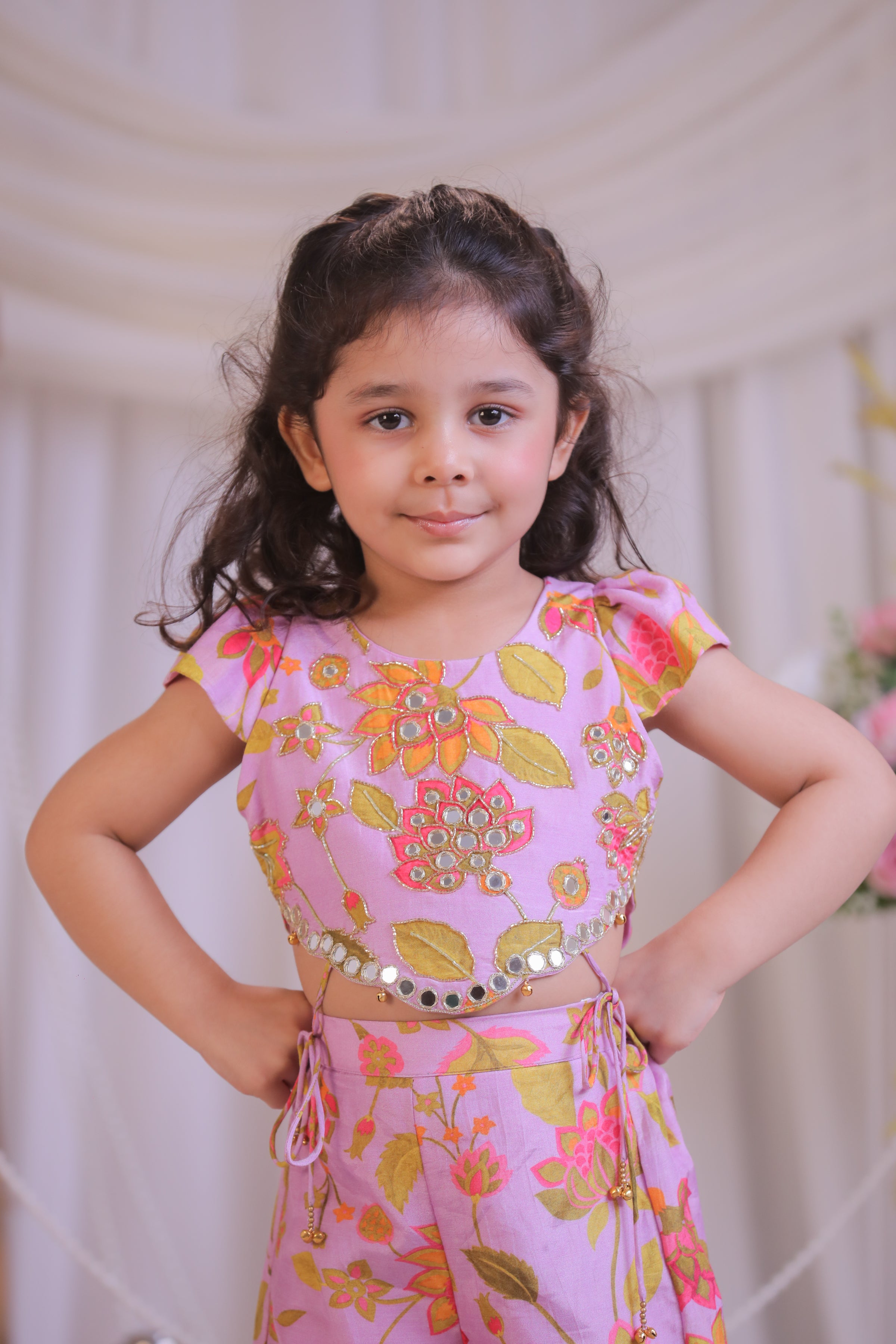 Lilac Printed Mirror work /set