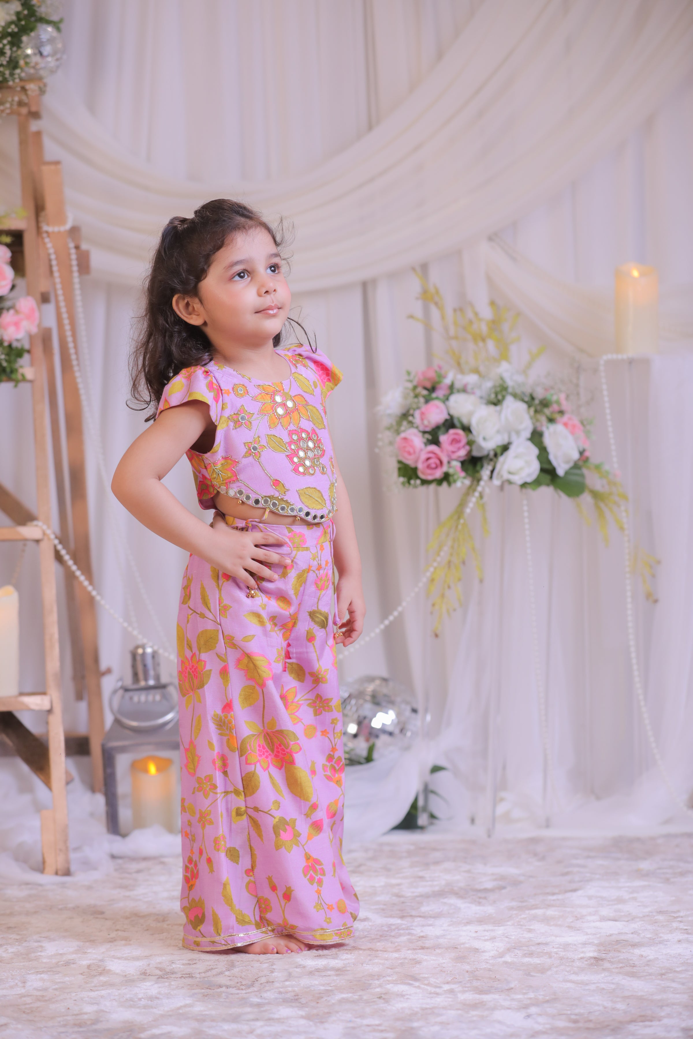 Lilac Printed Mirror work /set