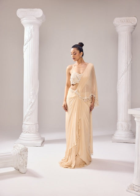 A- SYMMETRICAL DRAPE SAREE