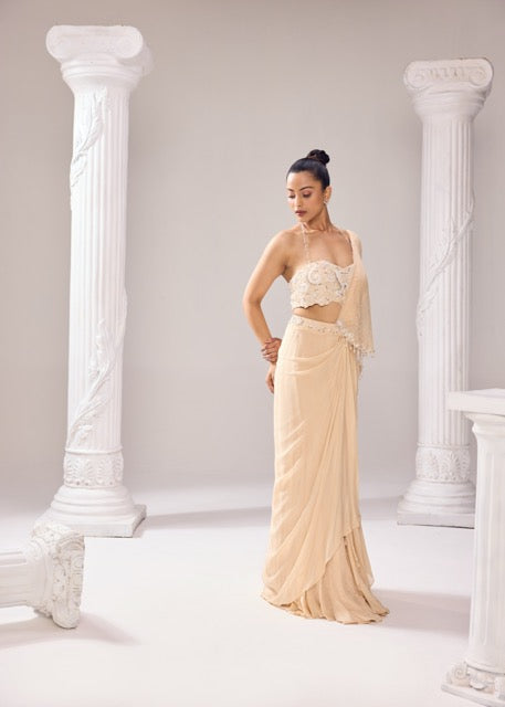 A- SYMMETRICAL DRAPE SAREE